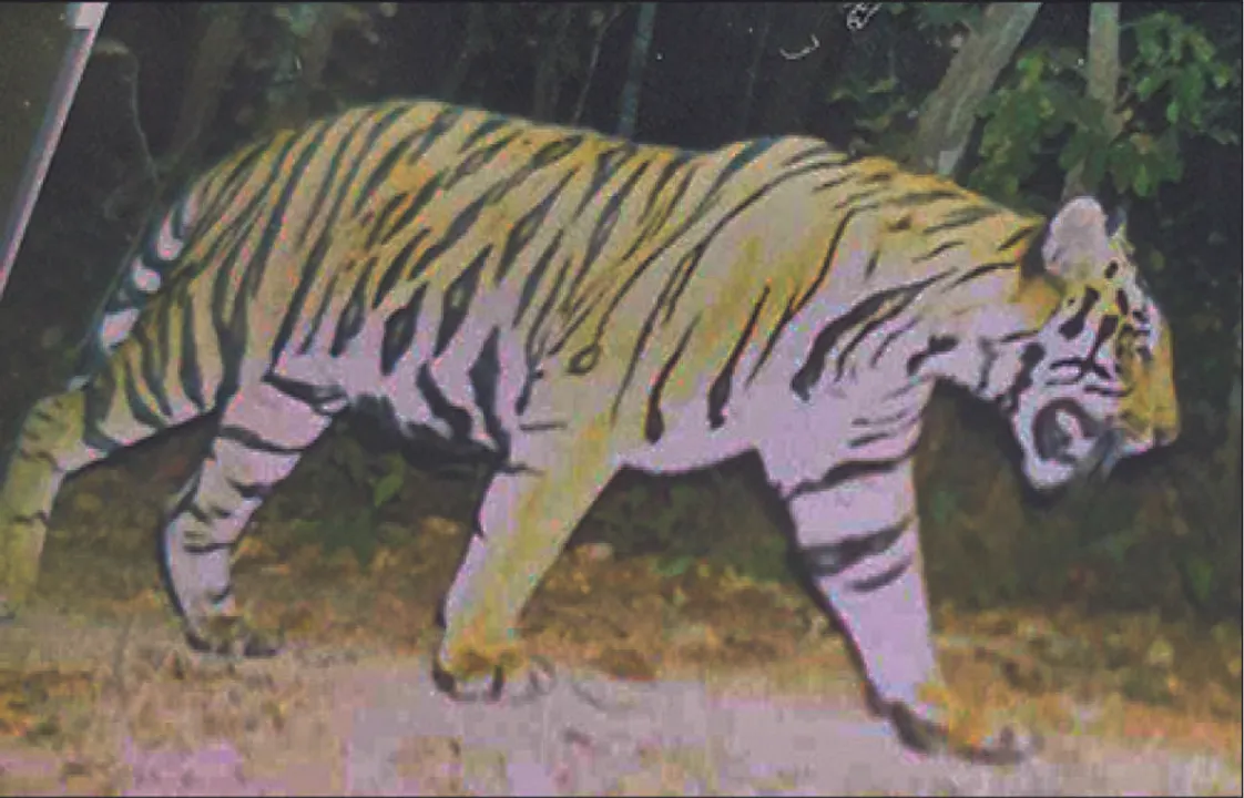  କ୍ୟାମେରାରେ ଆସୁନି ମହାବଳ!