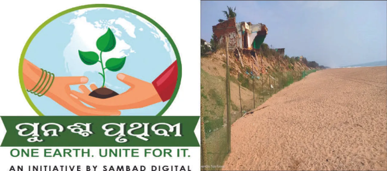  ଅଲିଭ୍‌ ରିଡ୍‌ଲେଙ୍କୁ ଜଳବାୟୁ ବିପଦ: ଅଣ୍ଡାଦାନ ବିଳମ୍ବିତ