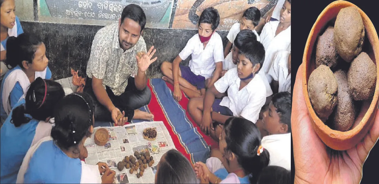  ମଞ୍ଜି ଗୁଳାରେ ସବୁଜ ବିସ୍ଫୋରଣ!