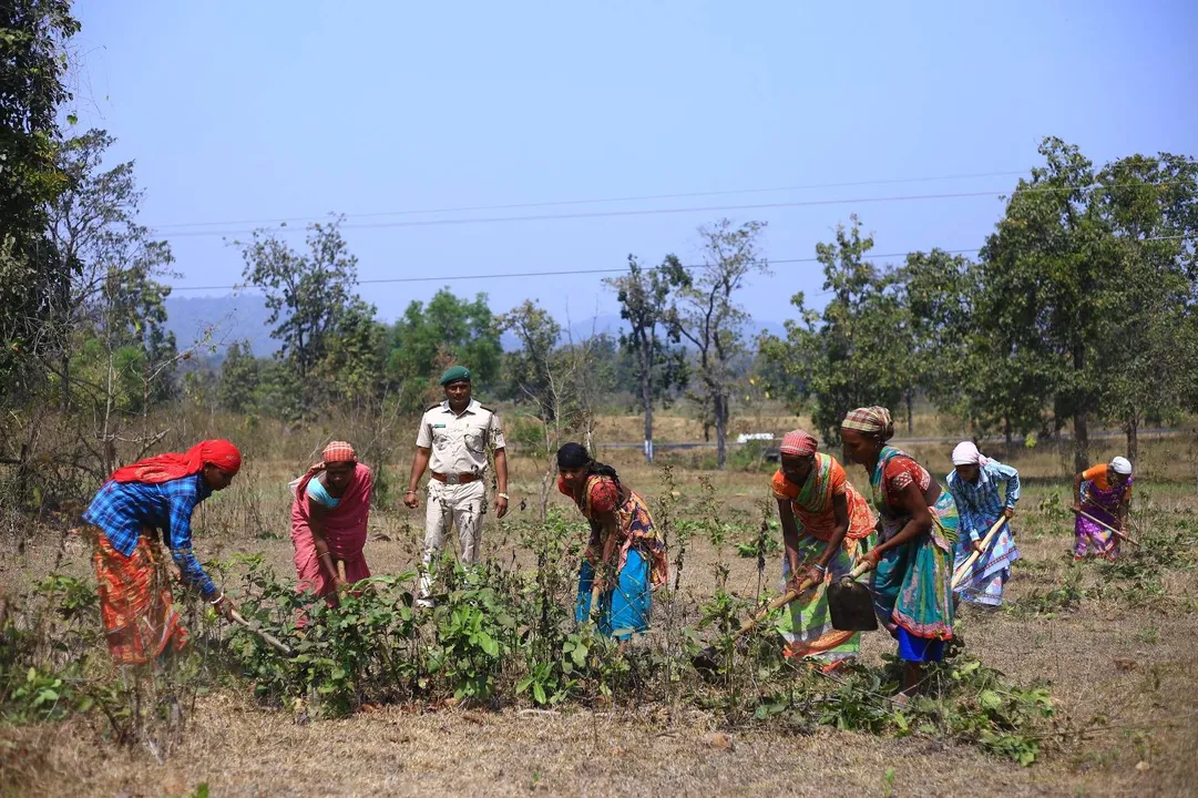  ଜୟପୁର କେନ୍ଦୁପତ୍ର ବନଖଣ୍ଡର ୫୬,୯୮୩ ଜଣ କେନ୍ଦୁପତ୍ର ତୋଳାଳୀଙ୍କୁ ବୋନସ୍ ଓ ୧୨୦୮ସାମୟିକ କର୍ମଚାରୀଙ୍କୁ ମିଳିବ ପ୍ରୋତ୍ସାହନ ରାଶି