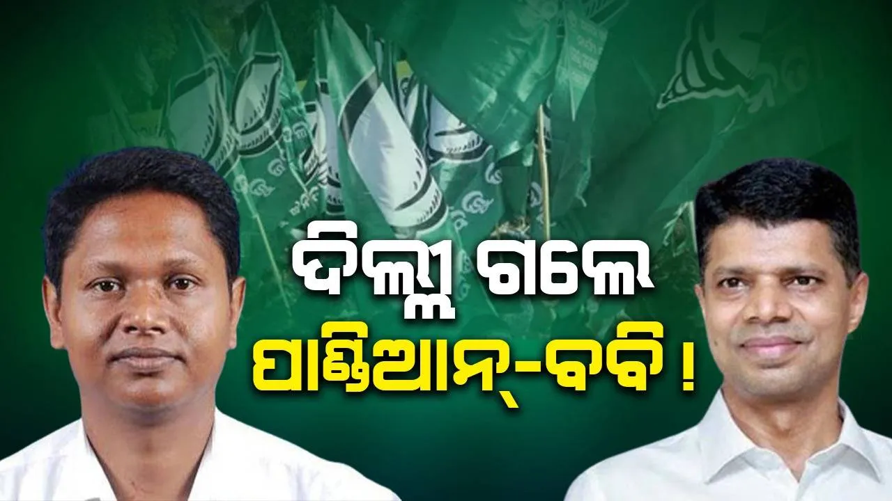  ନୂଆଦିଲ୍ଲୀ ଗଲେ କାର୍ତ୍ତିକ ପାଣ୍ଡିଆନ, ବବି ଦାସ!‌ ମେଣ୍ଟ ନେଇ କରିପାରନ୍ତି ଗୁରୁତ୍ବପୂର୍ଣ୍ଣ ଆଲୋଚନା