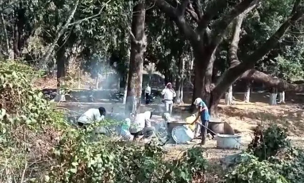  ଜେଏମ୍‌ଏମ୍‌ କର୍ମୀସମ୍ମିଳନୀରେ ମହୁମାଛି ଆକ୍ରମଣ: ୧୦ରୁ ଅଧିକ ନେତା ଓ କର୍ମୀ ଆହତ