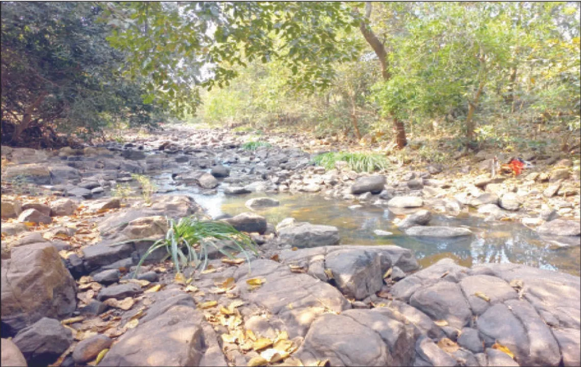  ଖରା ଆରମ୍ଭରୁ ସ୍ଥିତି ସଂଗିନ: ନଦୀ ଅଛି, ପାଣି ନାହିଁ