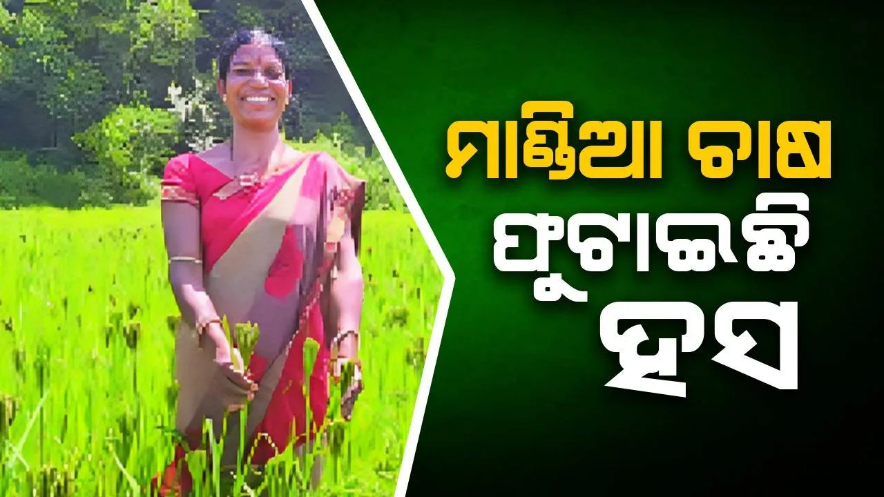  ଦୁଇ ପ୍ରେରଣାଦାୟୀ ମହିଳାଙ୍କ କାହାଣୀ: ମାଣ୍ଡିଆ ଚାଷ ଫୁଟାଇଛି ହସ