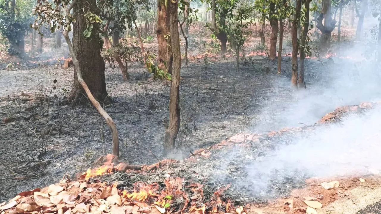  ଦେବଗଡ଼ ଜିଲ୍ଲାରେ ଜଳୁଛି ଜଙ୍ଗଲ, ବଢ଼ୁଛି ତାତି