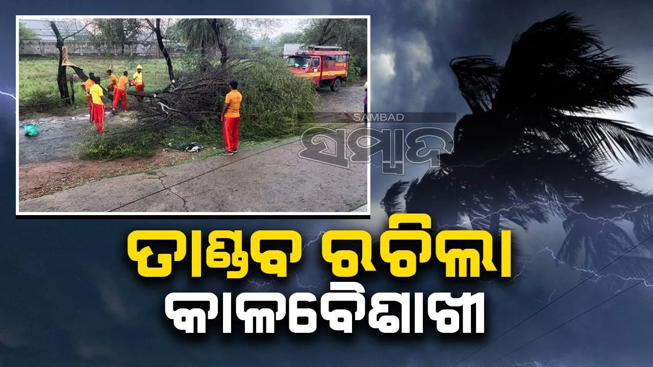  କଳାବୈଶାଖୀର ତାଣ୍ଡବ: ଉପୁଡ଼ିଲା ଗଛ, ବର୍ଷାରେ ଭିଜିଲା ମାଟି