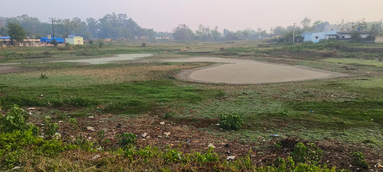  ଶୁଖିଯାଉଛି ଜଳାଶୟ: ଜଳଭଣ୍ଡାର ପାଲଟୁଛି ଗୋରୁଗାଈଙ୍କ ଚରାଭୂଇଁ