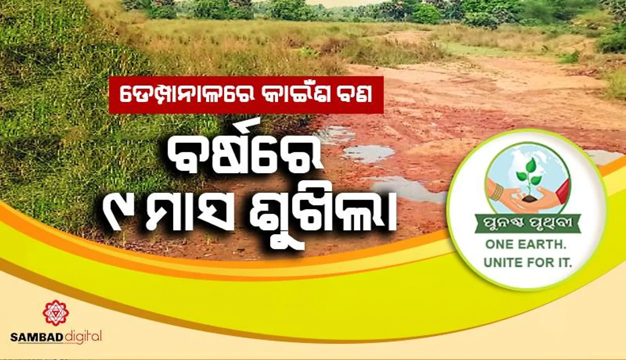  ଡେମ୍ପାନାଳରେ କାଇଁଶ ବଣ: ବର୍ଷରେ ୯ ମାସ ଶୁଖିଲା