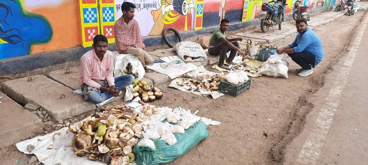  ଆଦିବାସୀଙ୍କ ଆର୍ଥିକ ସ୍ଥିତି ସୁଦୃଢ଼ କରୁଛି ତାଳ: ୬ଟି ତାଳସଜକୁ ୨୦ ଟଙ୍କା