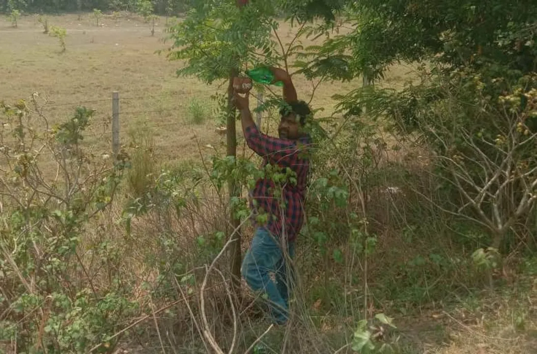  ତୃଷାର୍ତ୍ତ ପକ୍ଷୀଙ୍କ ପାଇଁ ଦେବଦୂତ ସାଜିଛନ୍ତି ରଶ୍ମିରଞ୍ଜନ