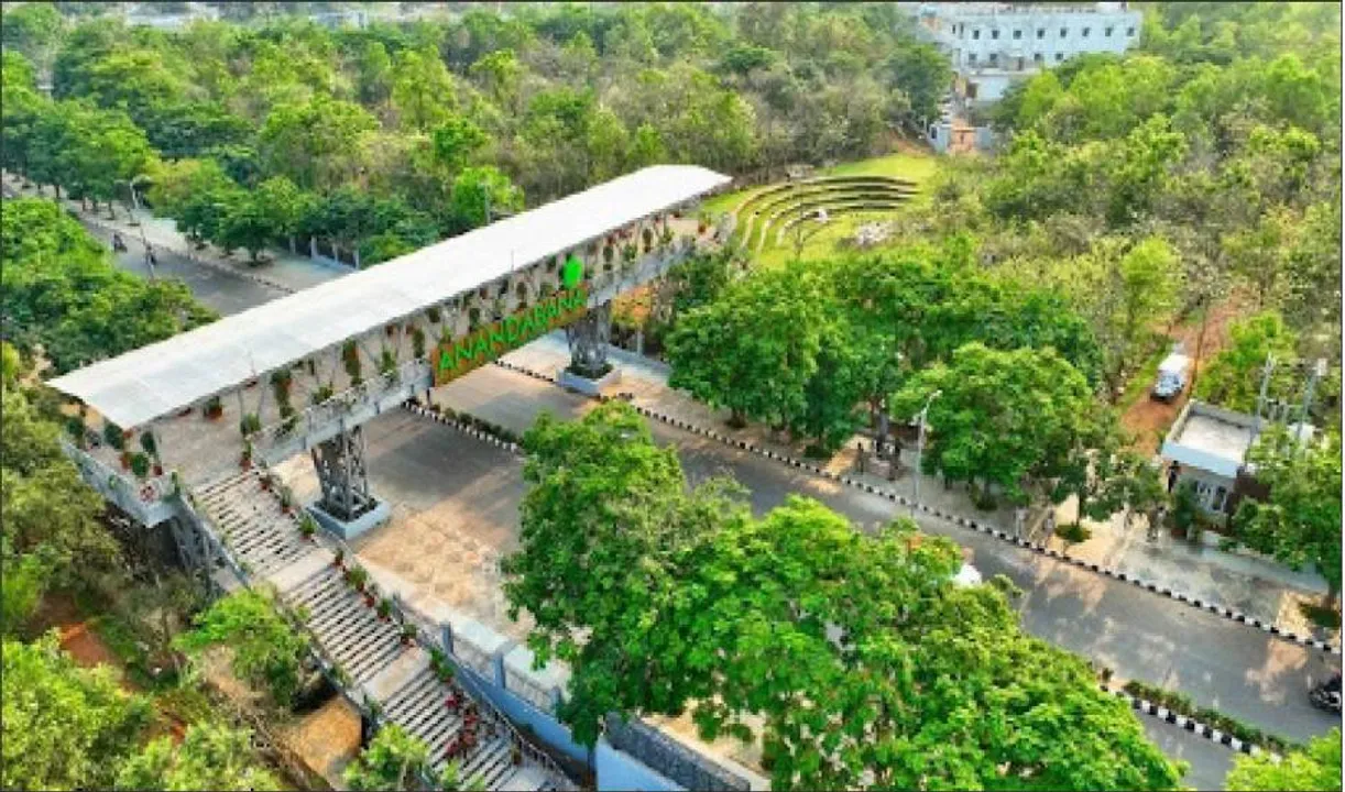  ବଢ଼ୁଛି ଆନନ୍ଦବନର ଆକର୍ଷଣ: ୧୮ ଦିନରେ ବୁଲିଲେଣି ୨୦ ହଜାର