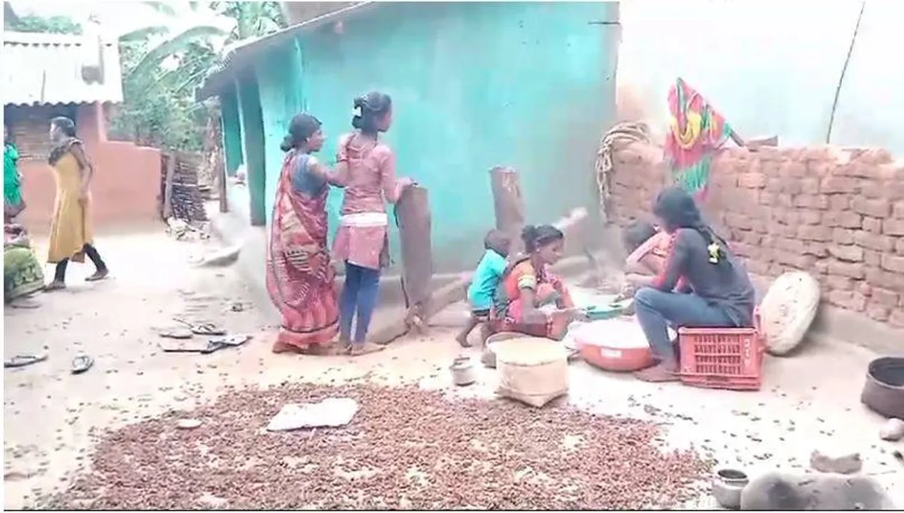  ଆଦିବାସୀ ଅଞ୍ଚଳରେ ଏବେବି ରହିଛି ଢ଼ିଙ୍କିର ଚାହିଦା