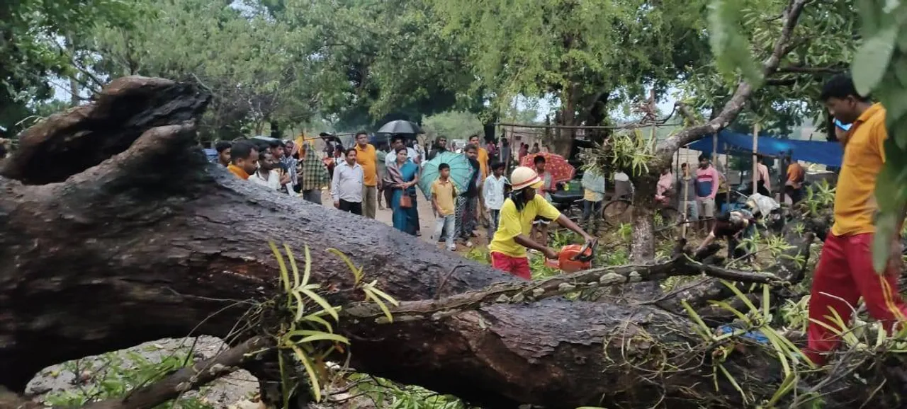  ଝଡ଼ତୋଫାନରେ ଗଛ ପଡ଼ି ରାସ୍ତା ଅବରୋଧ