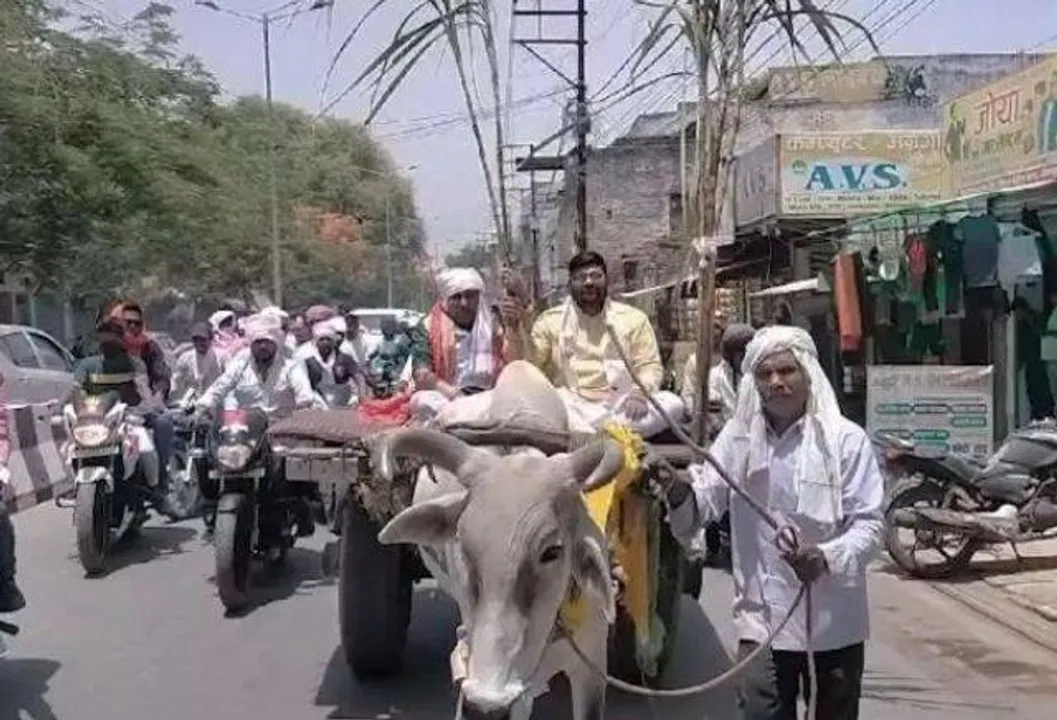  ନାମାଙ୍କନ ପାଇଁ ବଳଦଗାଡ଼ିରେ ପହଞ୍ଚିଲେ ପ୍ରାର୍ଥୀ: ଭିଡ଼ିଓ ଭାଇରାଲ