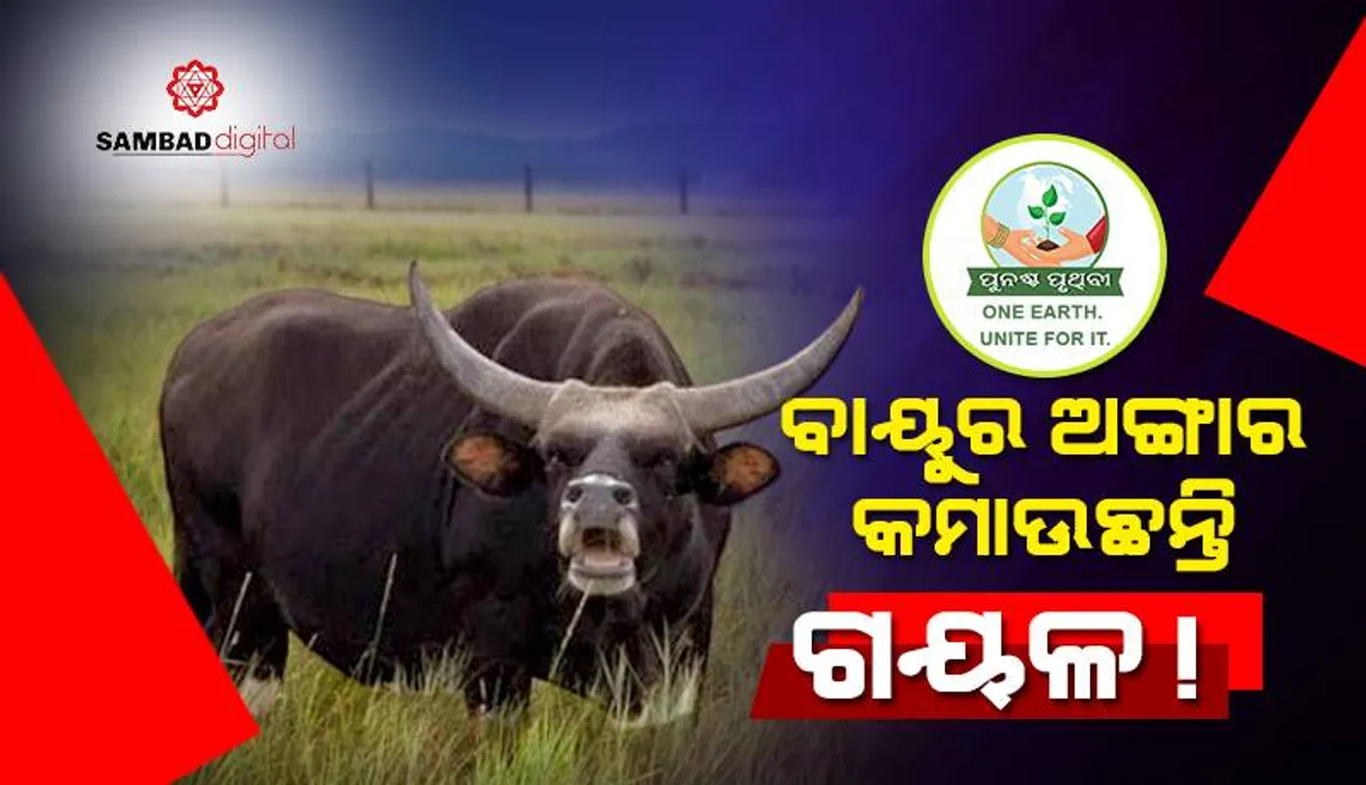  ବାୟୁରୁ ଅଙ୍ଗାର କମାଉଛନ୍ତି ଗୟଳ!