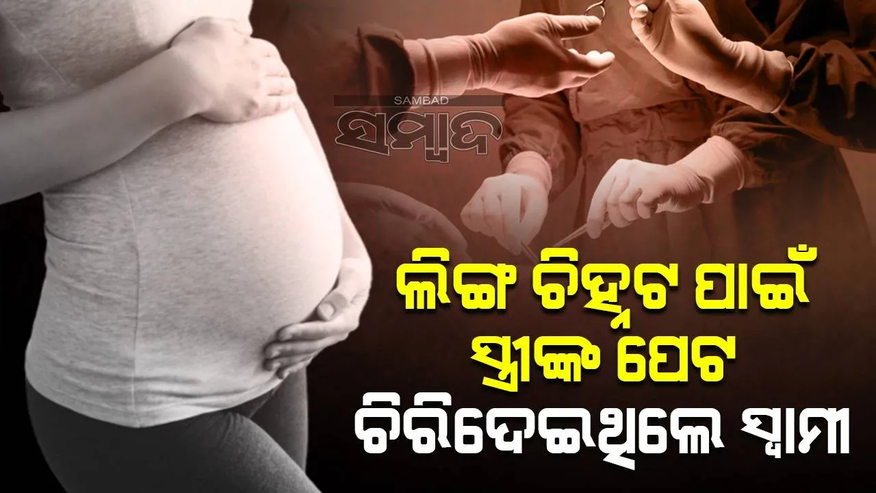  ସ୍ତ୍ରୀଙ୍କ ଗର୍ଭରେ ଥିବା ସନ୍ତାନ ପୁଅ ନା ଝିଅ ଜାଣିବା ପାଇଁ ପେଟ ଚିରି ଦେଇଥିଲେ ସ୍ବାମୀ; ହେଲା ଆଜୀବନ କାରାଦଣ୍ଡ