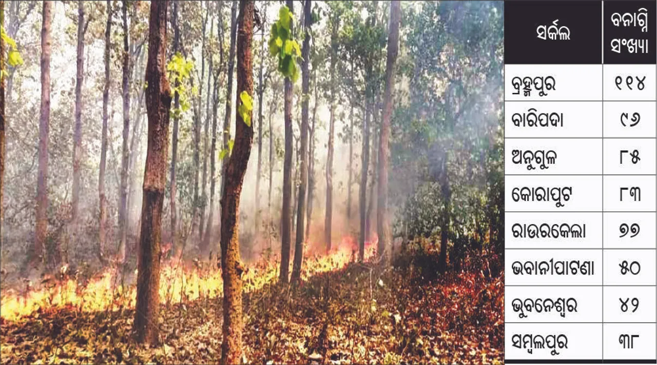  ୫୭୯ ସ୍ଥାନରେ ଜଙ୍ଗଲ ଜଳୁଛି: ବ୍ରହ୍ମପୁର, ବାରିପଦା ସର୍କଲରେ ଅଧିକ, ଦେଶରେ ୨୬୯ ବନାଗ୍ନି, ଓଡ଼ିଶାରେ ୫୪