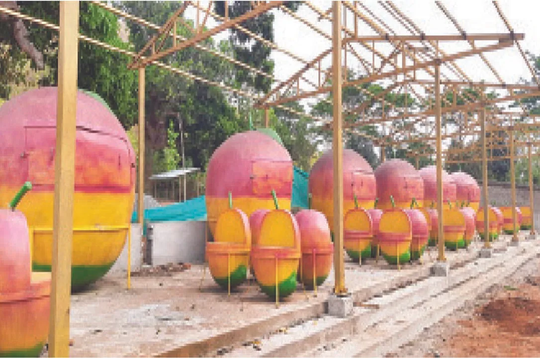 କାମରେ ଆସୁନି ସୁନାମୁହିଁ ଭେଣ୍ଡିଂ ଜୋନ୍‌: ପାଣିରେ ପଡ଼ିଛି ଲକ୍ଷାଧିକ ଟଙ୍କା