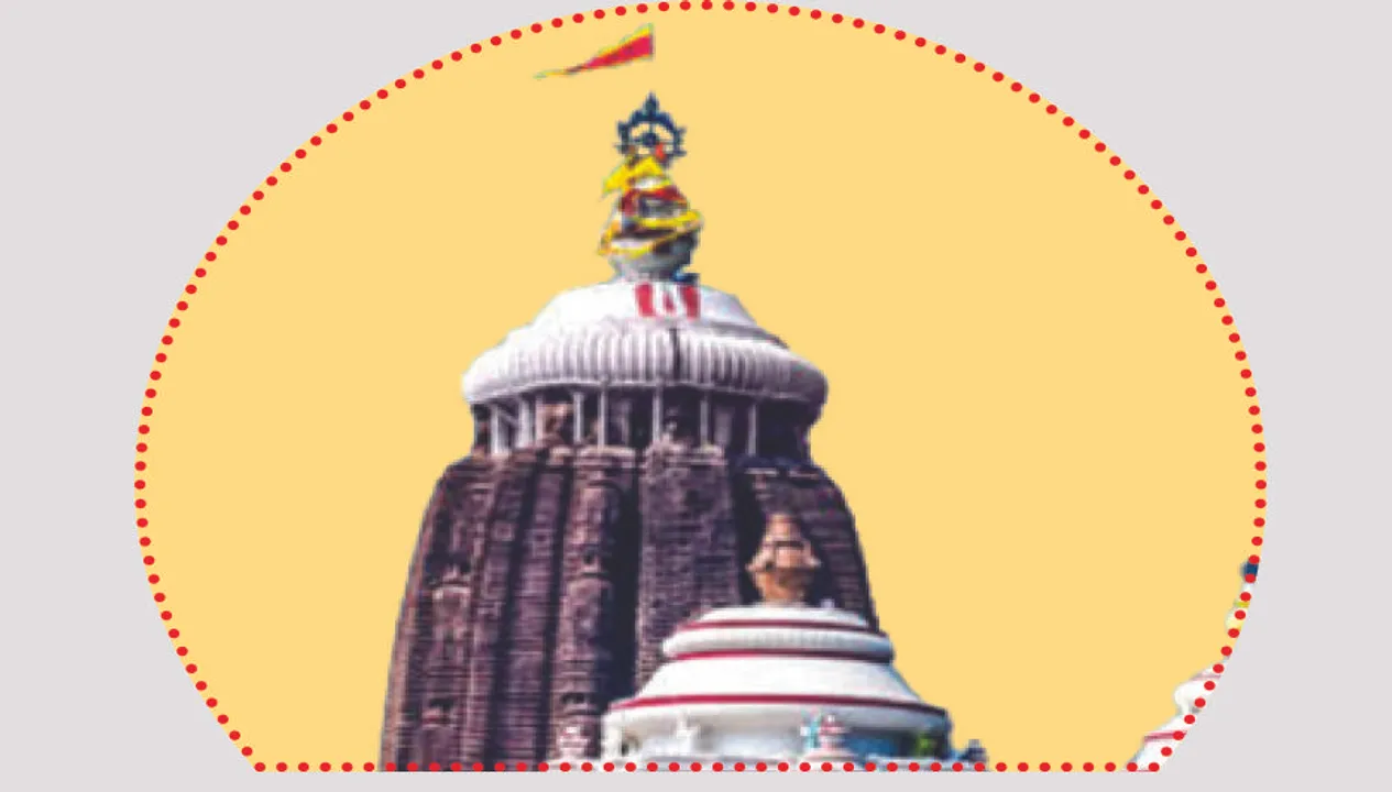  ମହାପ୍ରଭୁଙ୍କ ପାଇଁ ମିଳୁନି କସ୍ତୁରୀ: ୫ ବର୍ଷ ହେବ ବିନା କସ୍ତୁରୀରେ ବନକଲାଗି