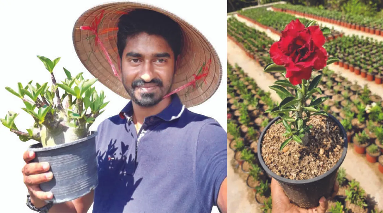  ଶୂନରୁ ଶହେ: ବ୍ୟାଙ୍କର୍‌ରୁ ଆଡେନିୟମ୍‌ ଗ୍ରୋଅର୍‌