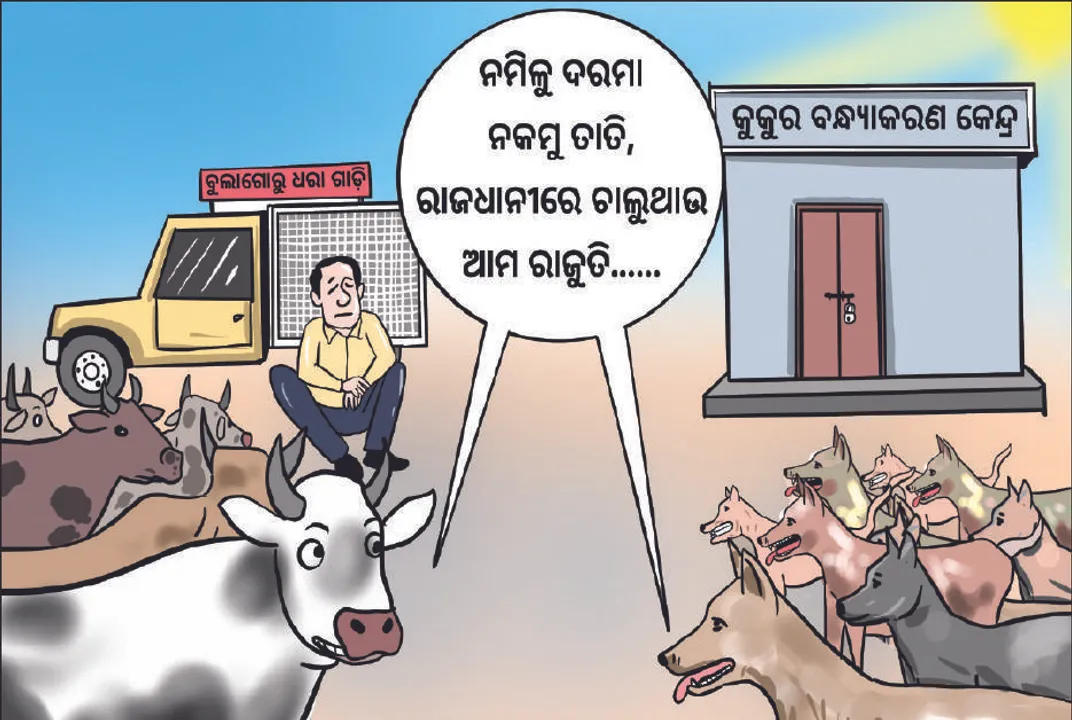  ରାଜଧାନୀର ଅପରାଜେୟ ବୁଲାଗୋରୁ ଓ କୁକୁର: ସହରରେ ଅଭାବନୀୟ ସ୍ଥିତି