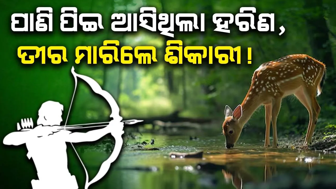  ହରିଣ ଶିକାର ନେଇ ଭିଡିଓ ଭାଇରାଲ: ୨ ଅଭିଯୁକ୍ତ ଅଟକ, ଏକାଧିକ ଫେରାର