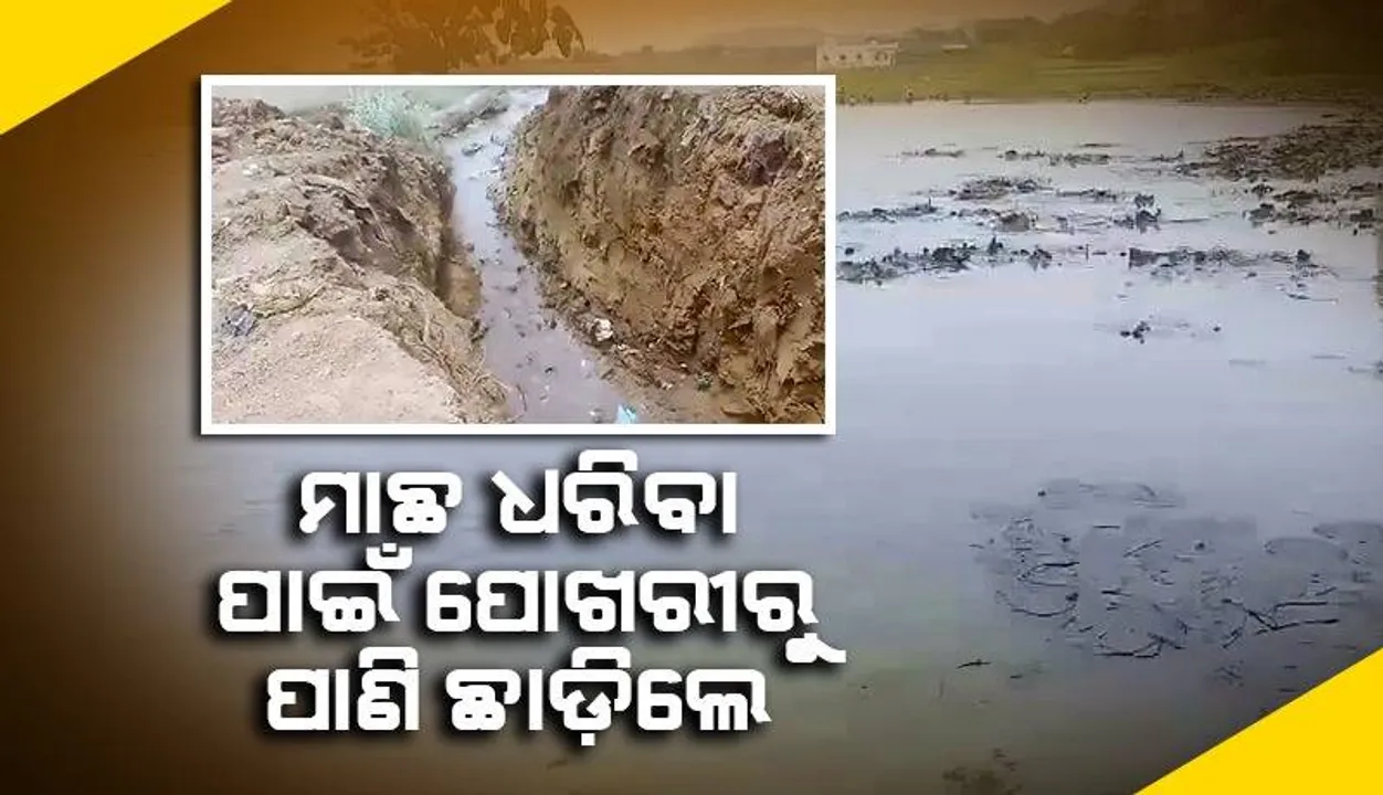 ମାଛ ଧରିବା ପାଇଁ ପୋଖରୀରୁ ଜଳ ଛାଡ଼ିଲେ; ଦାନା ବାନ୍ଧୁଛି ୨ ଗୋଷ୍ଠୀ ମଧ୍ୟରେ ସଂଘର୍ଷ