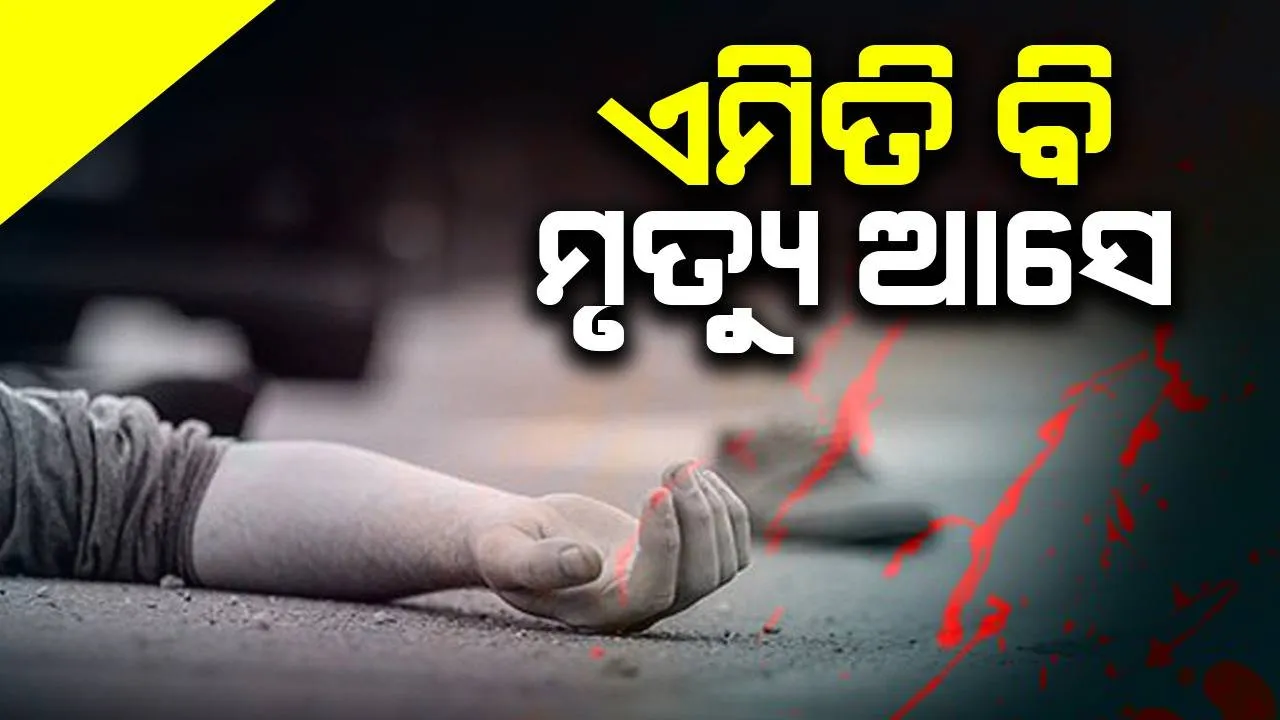  ନଡ଼ିଆ ଗଛ ପଡ଼ି ଚାଲିଗଲା ଦୁଇ ଯୁବକଙ୍କ ଜୀବନ