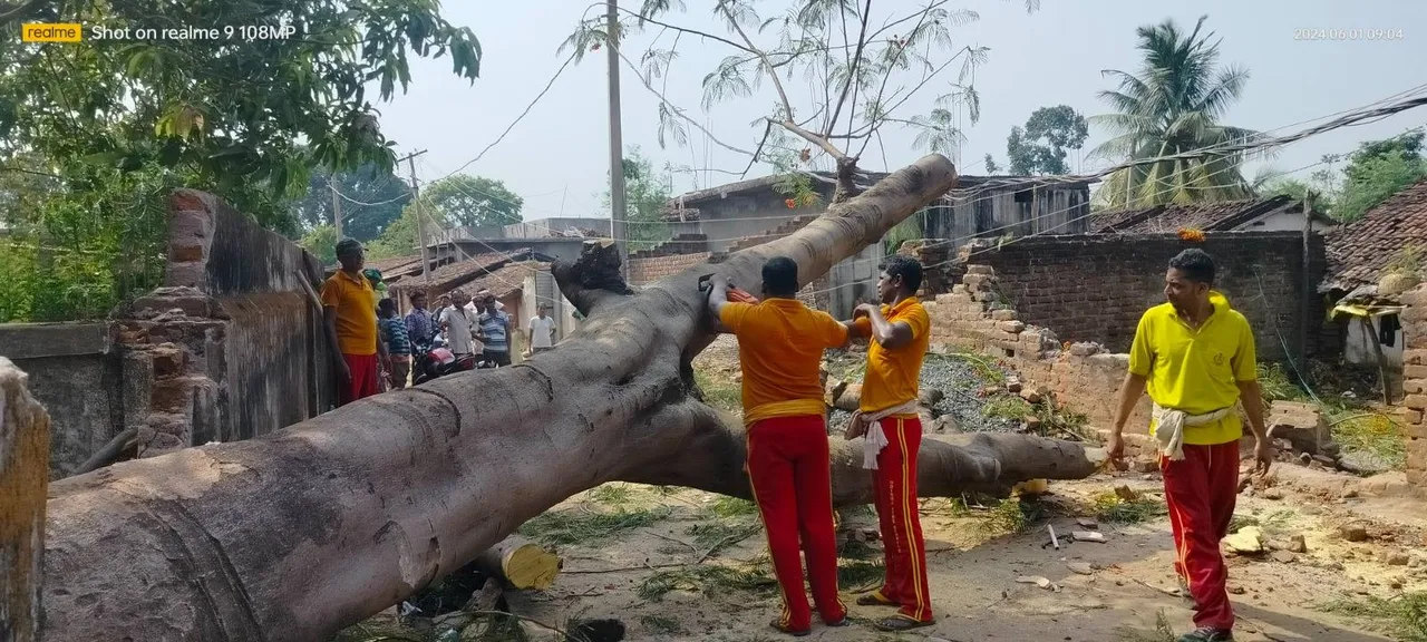  ଗଛ ପଡ଼ି ରାସ୍ତା ଅବରୋଧ, ଯାନବାହନ ଚଳାଚଳ ଠପ୍‌