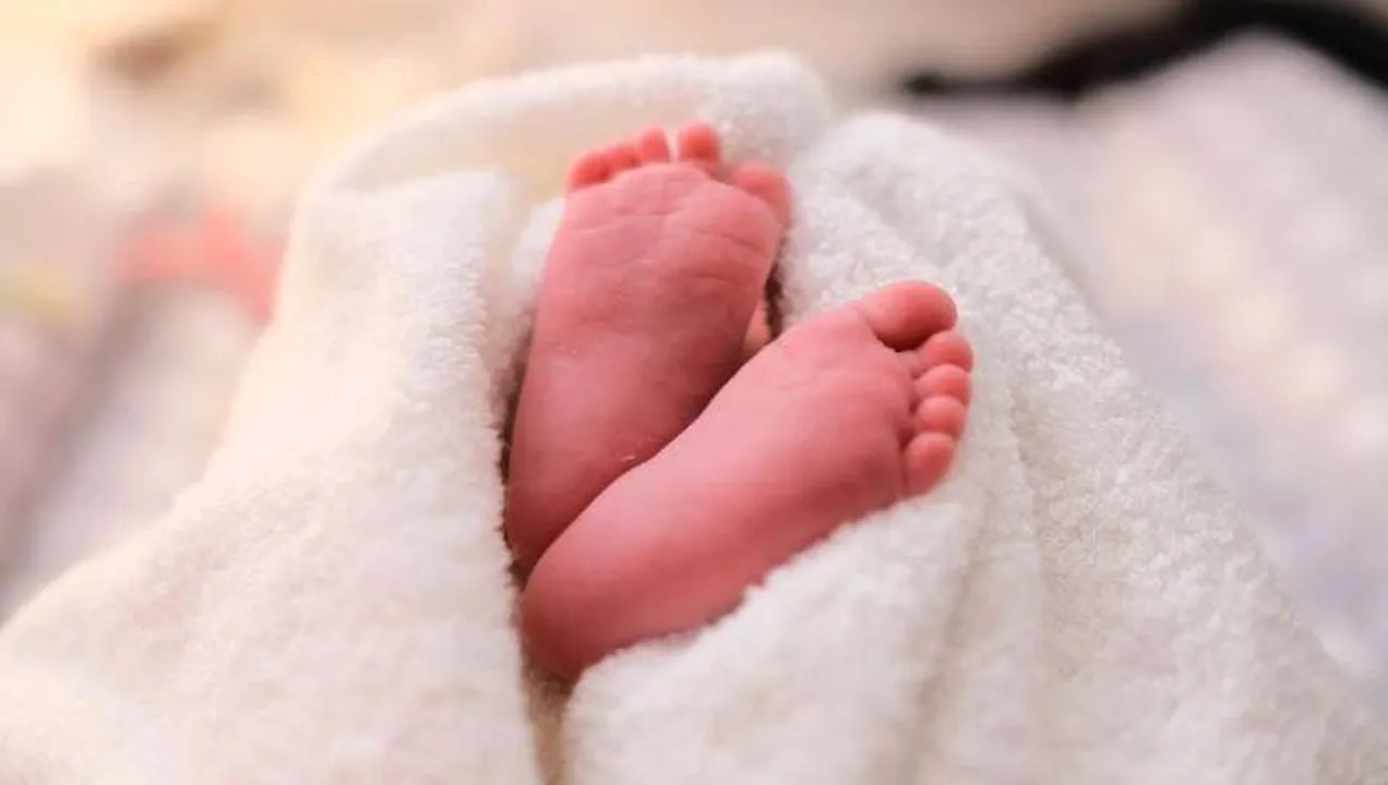  ହସ୍ପିଟାଲ ପରିସରରେ ନବଜାତ ଶିଶୁର ମୃତଦେହ