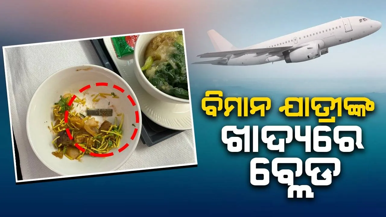  ବିମାନ ଯାତ୍ରୀଙ୍କ ଖାଦ୍ୟରେ ‌‌‌ବ୍ଲେଡ ବାହାରିବା ପରେ ଏୟାର ଇଣ୍ଡିଆର ପ୍ରତିକ୍ରିୟା