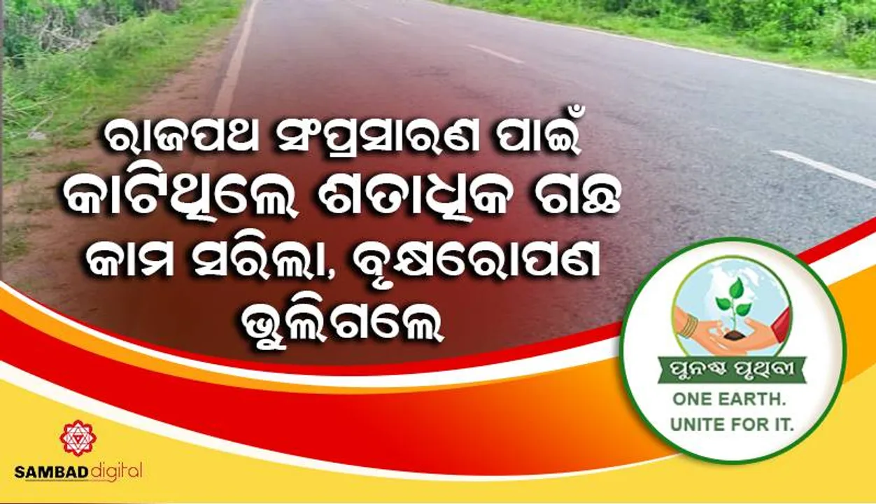  ରାଜପଥ ସଂପ୍ରସାରଣ ପାଇଁ କାଟିଥିଲେ ଶତାଧିକ ଗଛ: ଚାରିବର୍ଷ ପୂରିଲା, କାମ ସରିଲା, ବୃକ୍ଷରୋପଣ ଭୁଲିଗ‌ଲେ