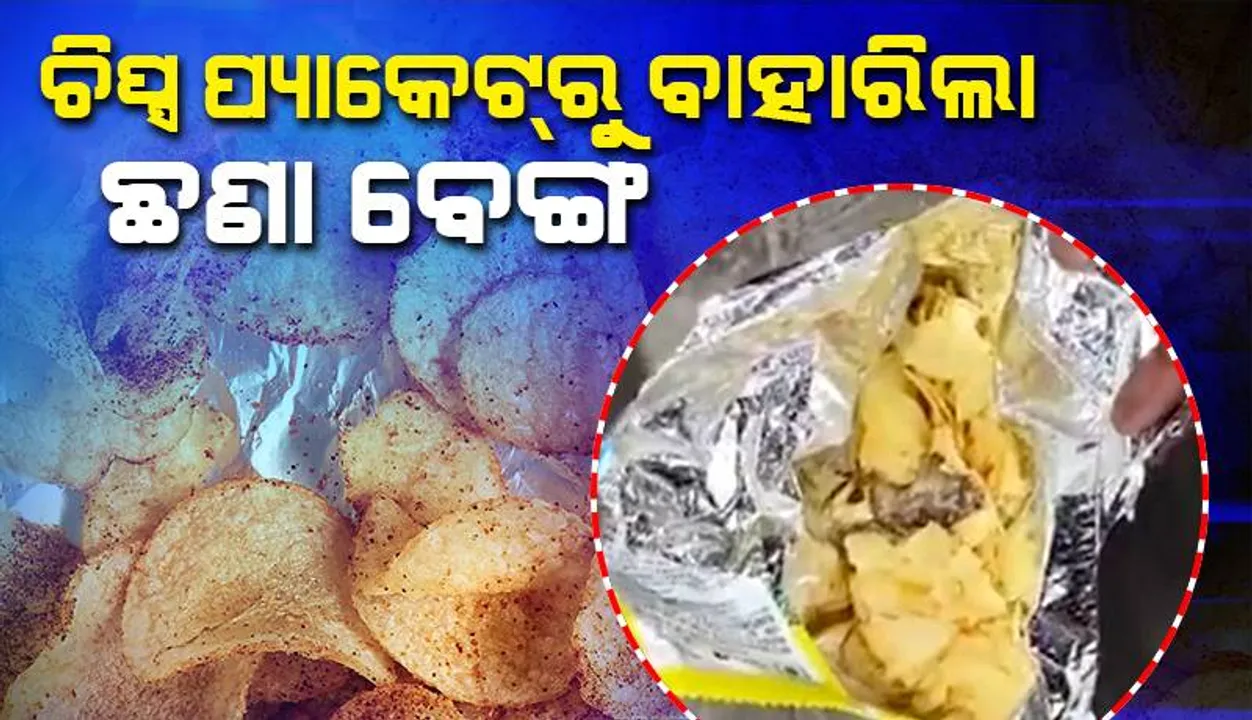  ଚିପ୍ସରୁ ବାହାରିଲା ଛଣା ବେଙ୍ଗ: କମ୍ପାନି ଦୋଷ ସ୍ବୀକାର କରିବାକୁ ନାରାଜ