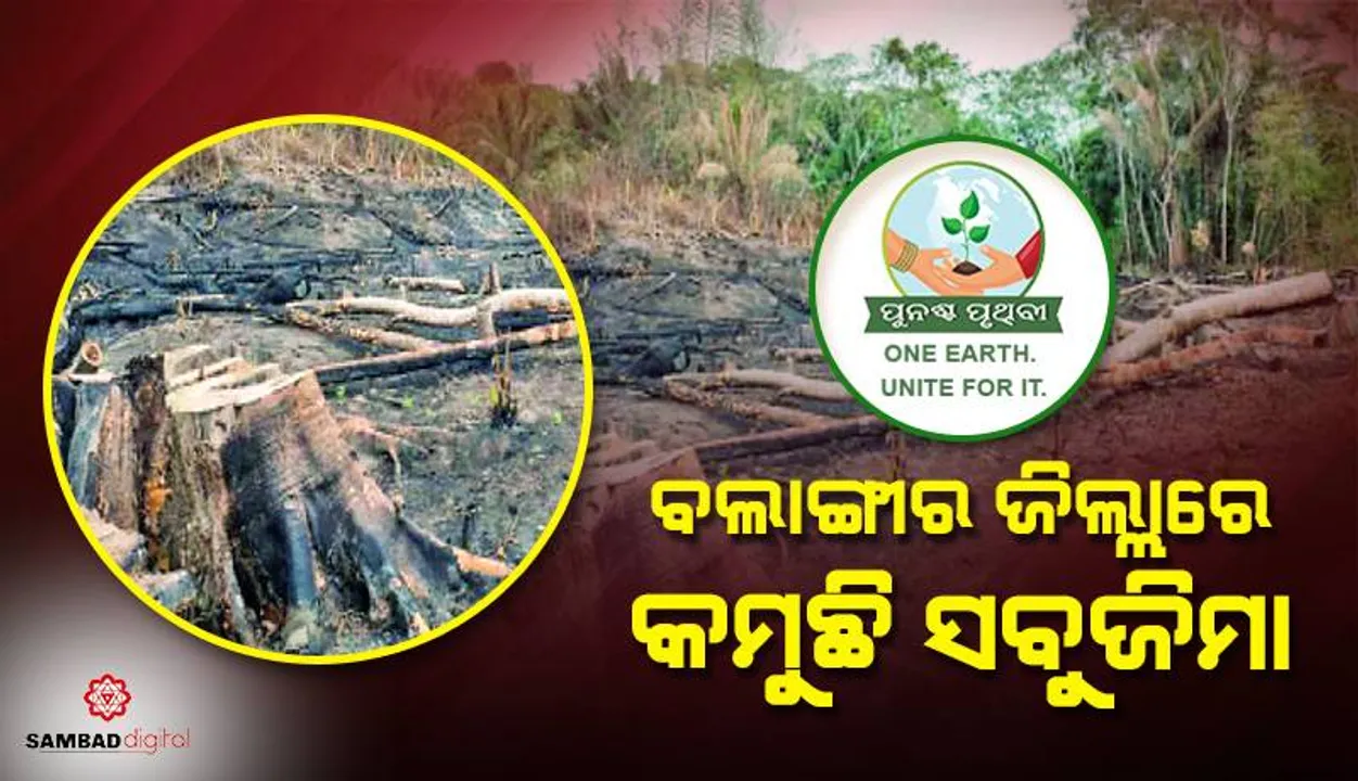  ବଲାଙ୍ଗୀର ଜିଲ୍ଲାରେ କମୁଛି ସବୁଜିମା: ୧୨ ବର୍ଷରେ ୧.୪୮ କିଲୋଟନ୍‌ ଅଙ୍ଗାରକାମ୍ଳ ବୃଦ୍ଧି
