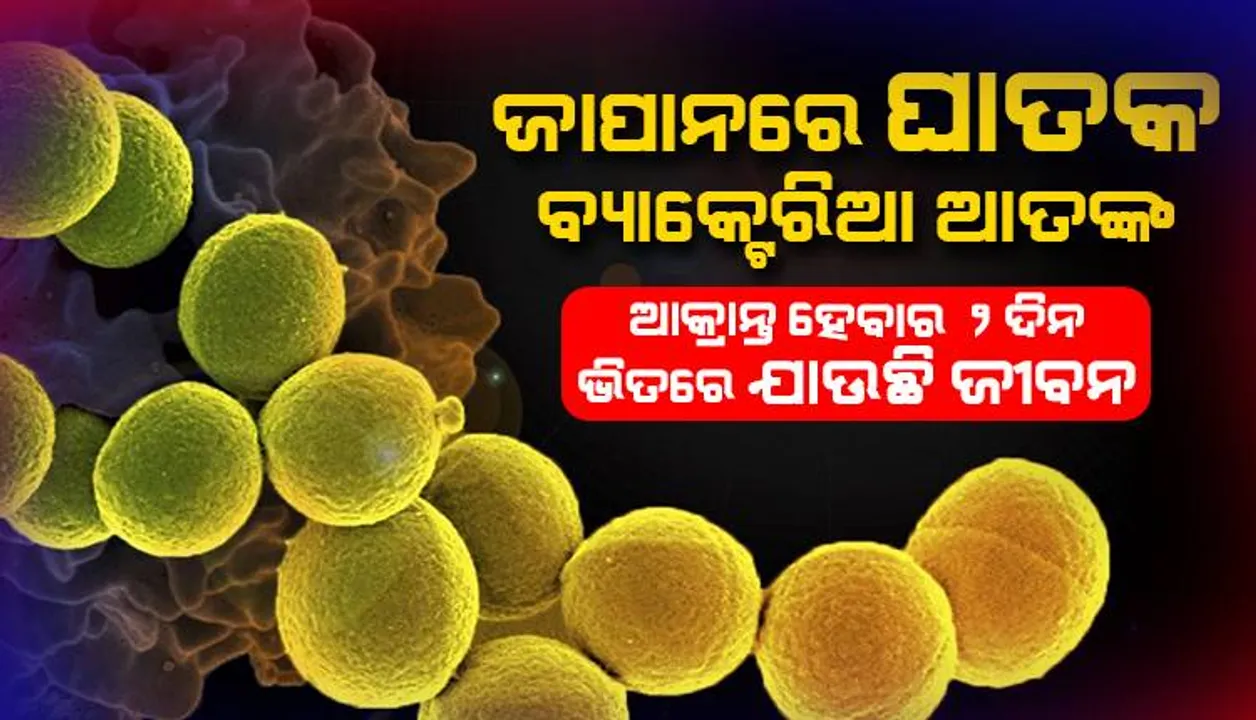  ଜାପାନରେ ଏବେ ଘାତକ ବ୍ୟାକ୍ଟେରିଆ ଆତଙ୍କ: ଆକ୍ରାନ୍ତ ହେବାର ୨ ଦିନ ଭିତରେ ଯାଉଛି ଜୀବନ
