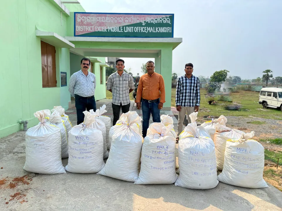  ଜଂଗଲରୁ ୪୦୦ କିଲୋ ଗଂଜେଇ ଜବତ
