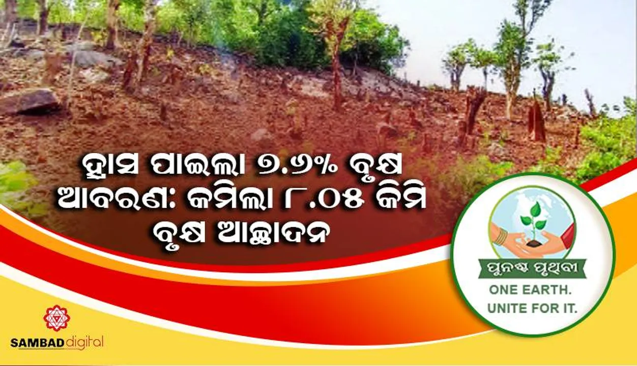  ହ୍ରାସପାଇଲା ୭.୬% ବୃକ୍ଷ ଆବରଣ: କମିଲା ୮.୦୫ କିମି ବୃକ୍ଷ ଆଚ୍ଛାଦନ