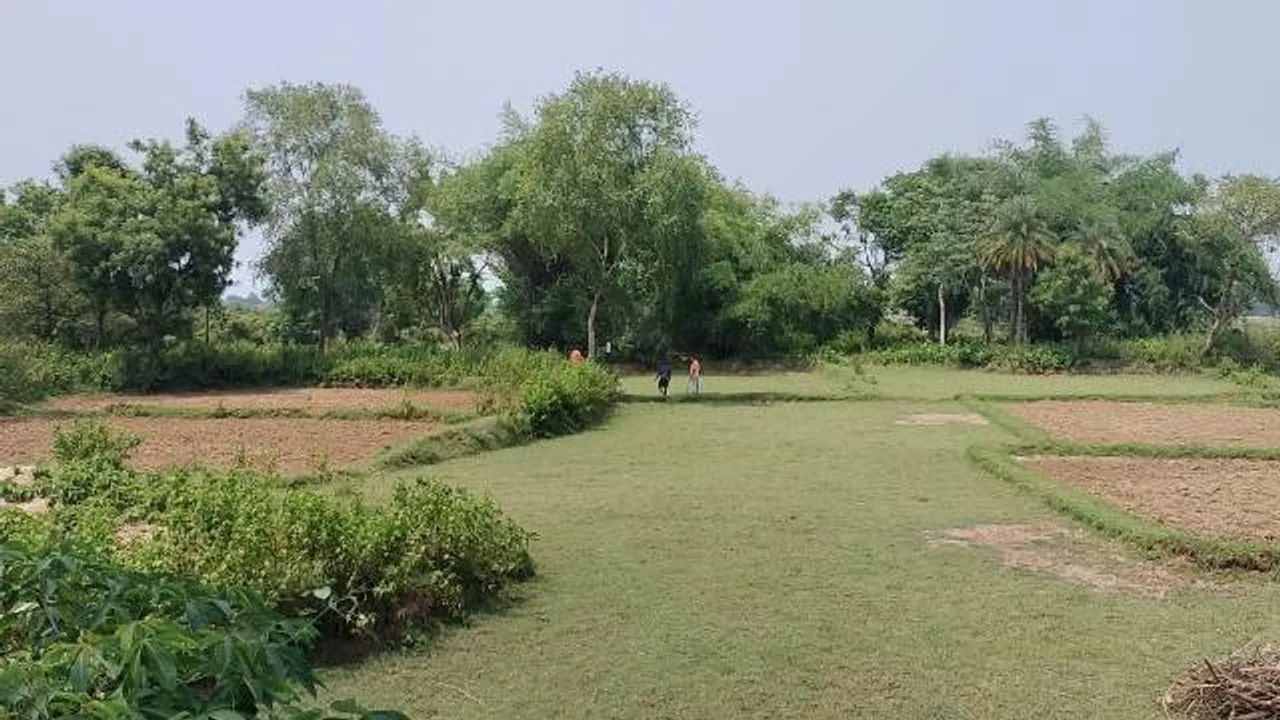 ଖଇରା ଅଞ୍ଚଳରେ ବାଘ ଆତଙ୍କ, ଆକ୍ରମଣରେ ୪ ଗୁରୁତର ଅବସ୍ଥାରେ ମେଡ଼ିକାଲରେ ଭର୍ତ୍ତି