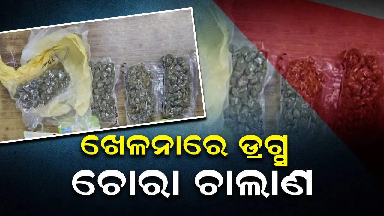  ଆମେରିକାରୁ ଖେଳନାରେ ଡ୍ରଗ୍ସ ଚୋରା ଚାଲାଣ: କୋରିଅର୍ ରାକେଟର ପର୍ଦ୍ଦାଫାଶ୍