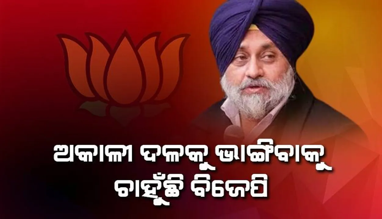  ବିଜେପି ଅକାଳୀ ଦଳକୁ ଭାଙ୍ଗିବାକୁ ଚାହୁଁଛି: ପଞ୍ଜାବରେ ରାଜନୈତିକ ଅସ୍ଥିରତା ନେଇ ବାଦଲ ସମର୍ଥକଙ୍କ ଅଭିଯୋଗ