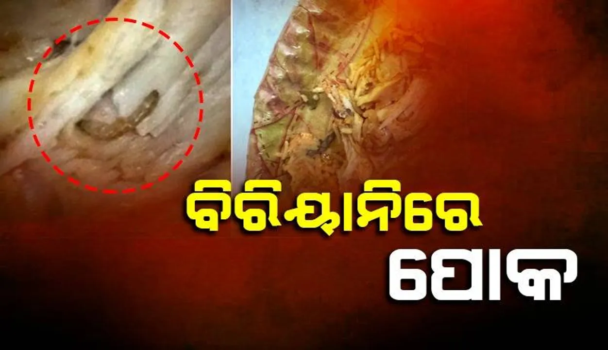  ଅନ୍‌ଲାଇନ୍‌ରୁ ବରାଦ କରିଥିବା ଚିକେନ ବିରିୟାନିରୁ ବାହାରିଲା ପୋକ, ୬୪ ଟଙ୍କା ଫେରସ୍ତ କଲା ସ୍ବିଗି