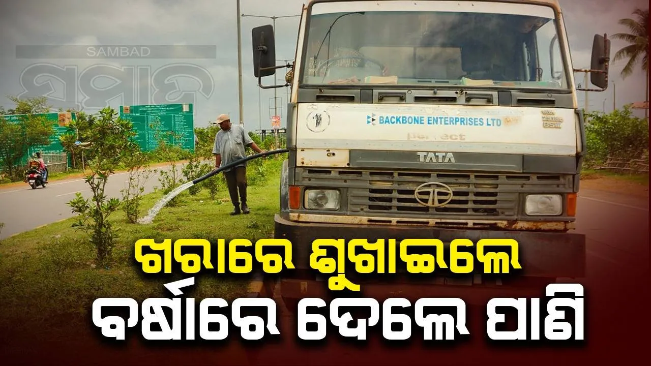  ରାଜପଥ ସୌନ୍ଦର୍ଯ୍ୟକରଣ ପାଲଟିଛି ପ୍ରହସନ: ପାଣି ଅଭାବରୁ ପୋଡ଼ିଯାଇଛି ଡିଭାଇଡର ଲାଗିଥିବା ଶହଶହ ଗଛ