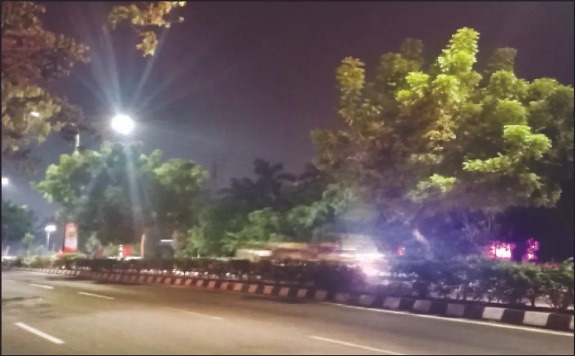  ମେଟ୍ରୋ ରେଳ ପ୍ରକଳ୍ପରେ ବଳିପଡ଼ିବ ହଜାରେରୁ ଅଧିକ ଗଛ: ଅନ୍ୟତ୍ର ସ୍ଥାନାନ୍ତର କରିବାକୁ ଉଠିଲା ସ୍ବର