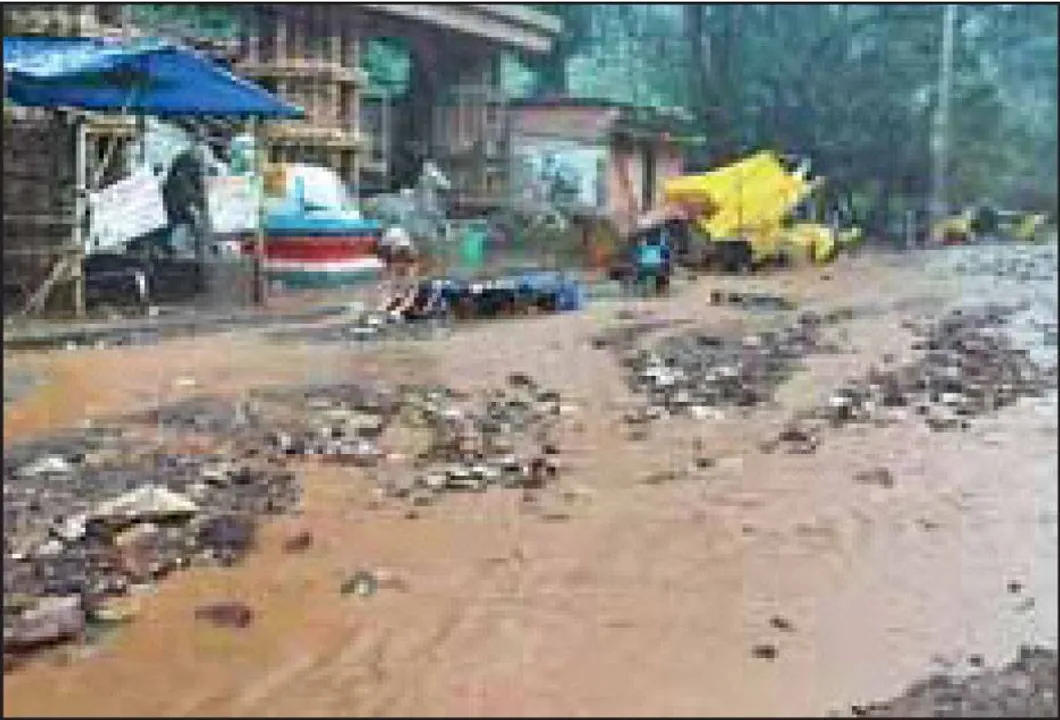  ବର୍ଷାରେ ଫୁଲୁଛି ସାବେରୀ