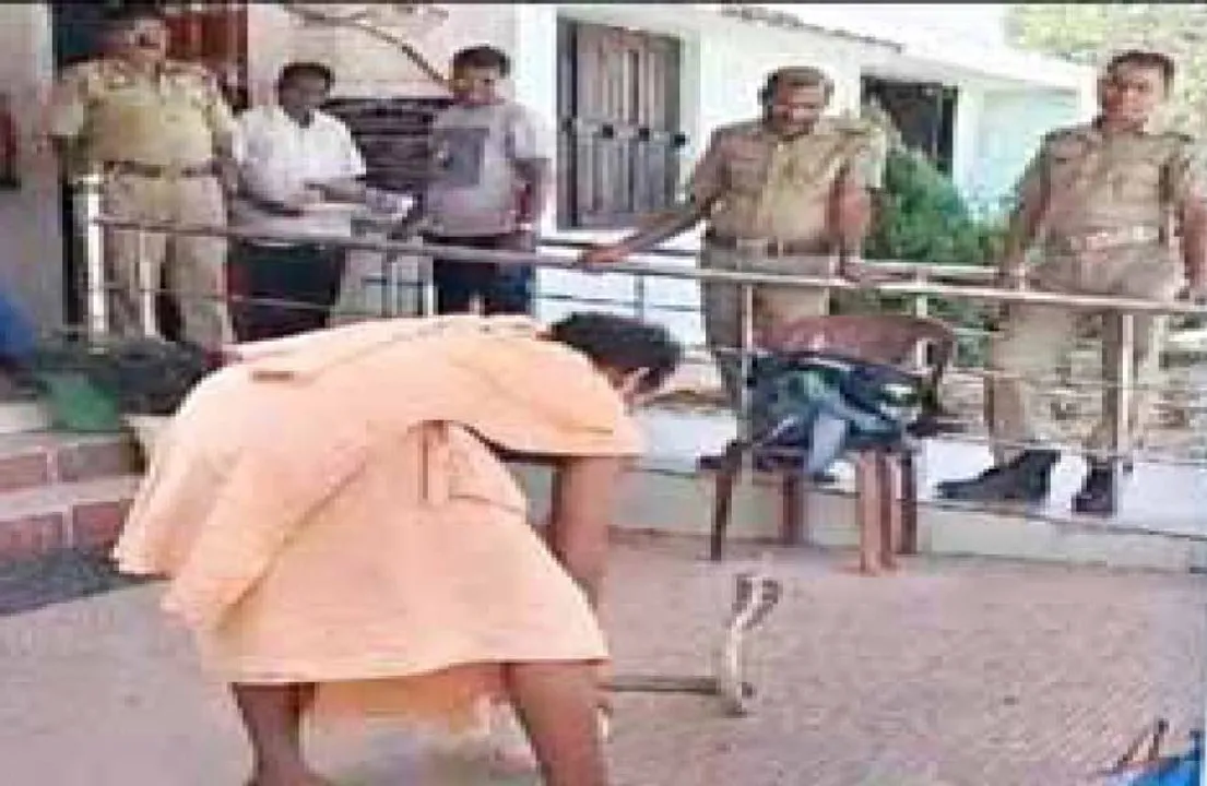  ଥାନା ପରିସରରେ ଖେଳାଉଥିଲେ; ସାପ ଚୋଟରେ ଧରାଳିଙ୍କ ପ୍ରାଣଗଲା