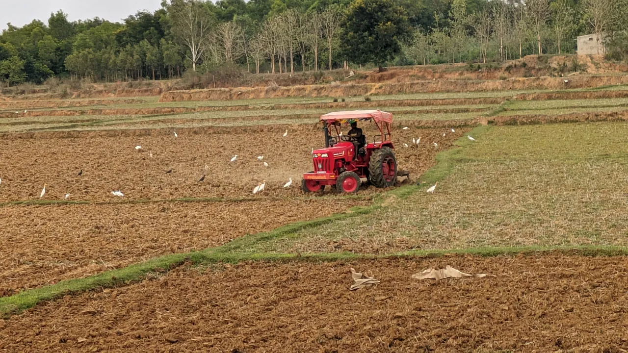  ସରକାରୀ ବଦଳରେ ହାଇବ୍ରିଡ଼ ବିହନ ଉପରେ ଚାଷୀଙ୍କ ଭରସା: ଓଟିପି ଗଲେ ଚାଷୀଙ୍କୁ ମିଳିବ ସବସିଡି