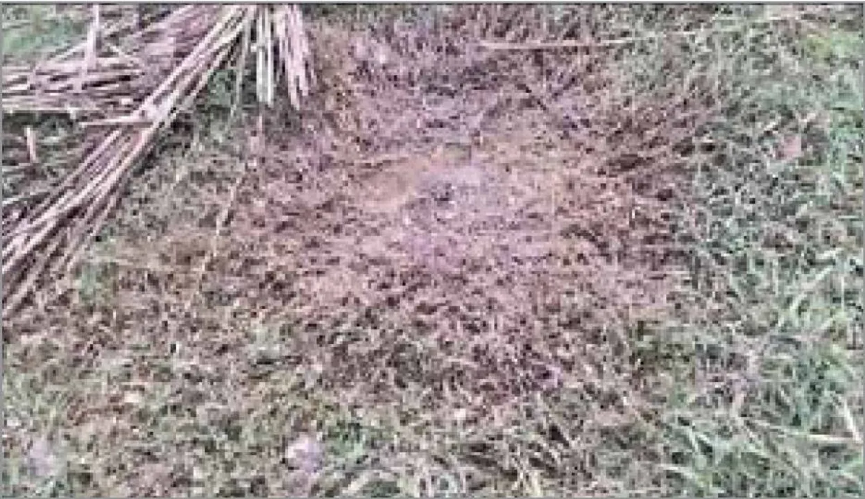  ବିଜେଡି ନେତାଙ୍କ ଘର ନିକଟରେ ବୋମାମାଡ଼