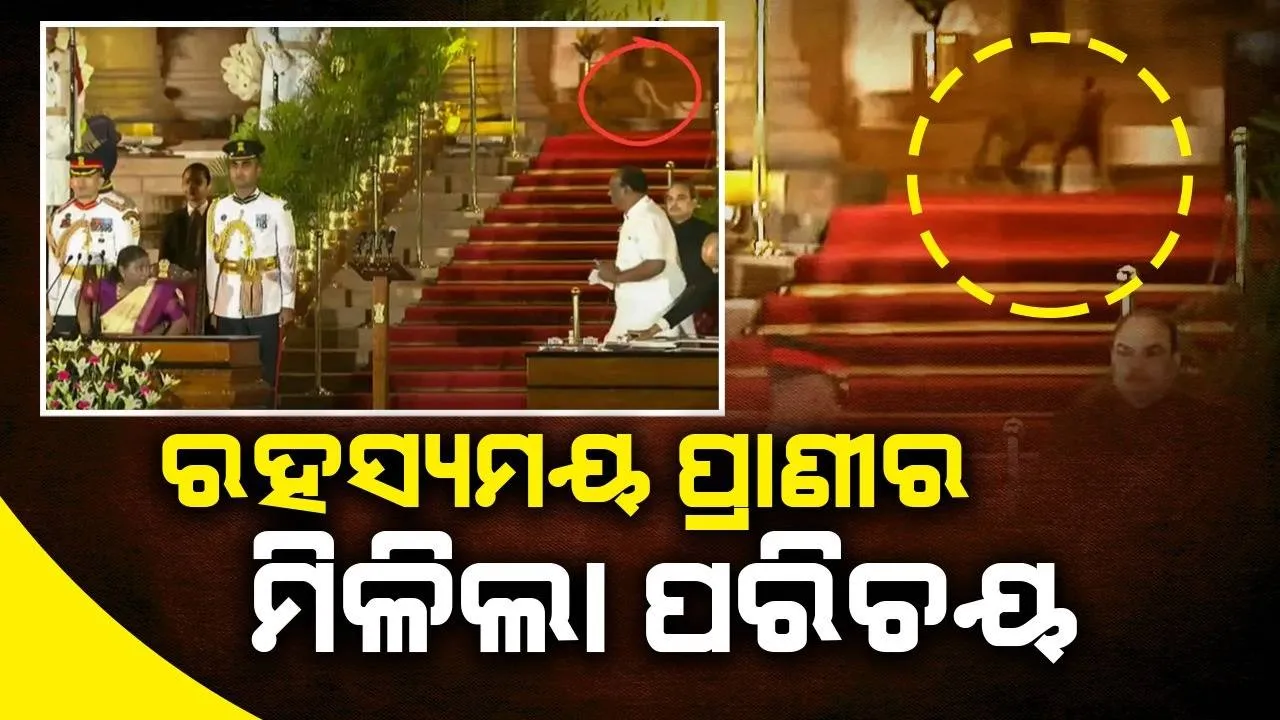  ରାଷ୍ଟ୍ରପତି ଭବନରେ ଶପଥପାଠ ସମୟରେ ବୁଲୁଥିବା ରହସ୍ୟମୟ ପ୍ରାଣୀର ପରିଚୟ ଦେଲା ପୁଲିସ