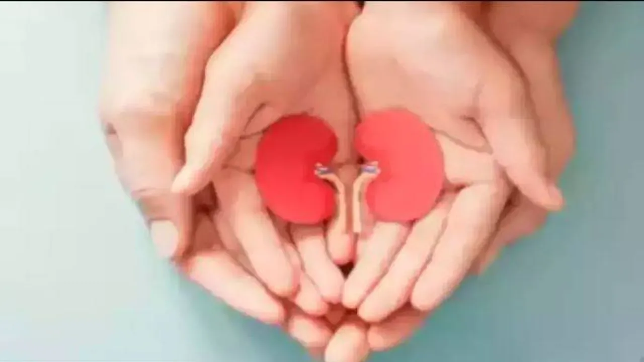  ଶିଶୁ ଏବଂ କିଶୋରଙ୍କର କିଡ୍‌ନୀ ଅକାମୀ ସମସ୍ୟାରେ ବୃଦ୍ଧି: ଆନ୍ଧ୍ରପ୍ରଦେଶ-ତେଲେଙ୍ଗାନାରେ ସର୍ବାଧିକ