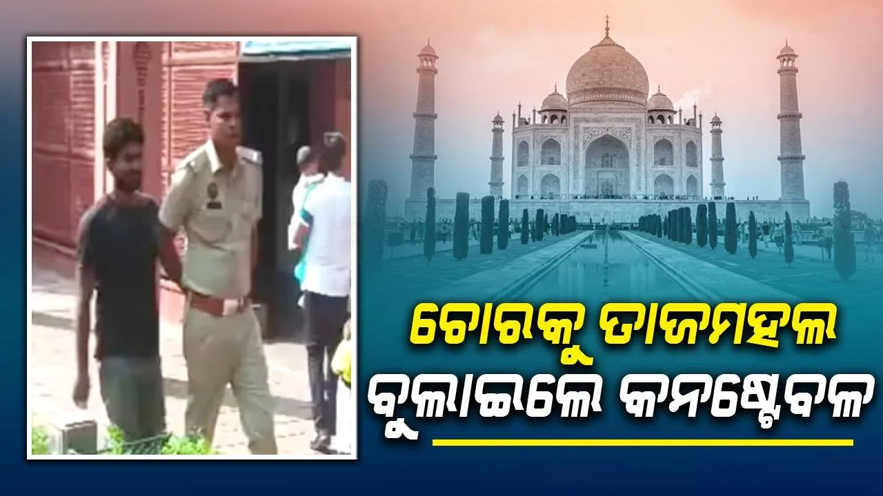  ହାତକଡ଼ି ପଡ଼ିଥିବା କଏଦୀଙ୍କୁ ଧରି ତାଜମହଲ ବୁଲାଇବାକୁ ନେଇଥିଲେ କନଷ୍ଟେବଳ